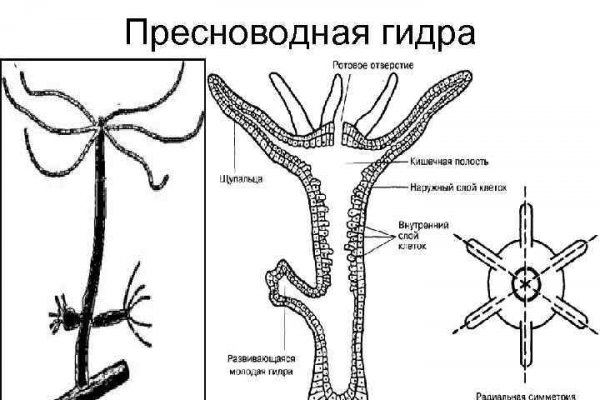 Магазин веществ кракен