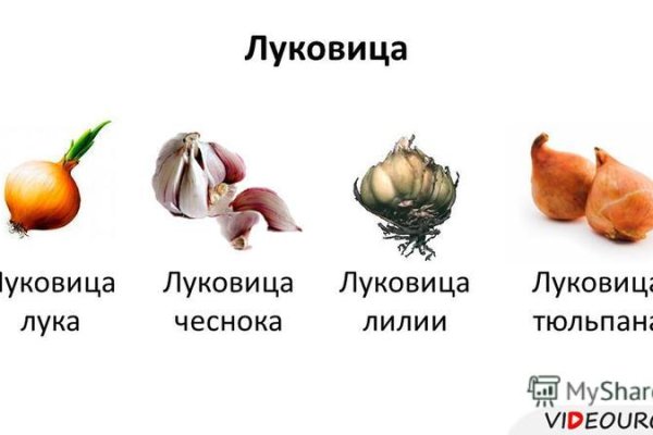 Вход в кракен