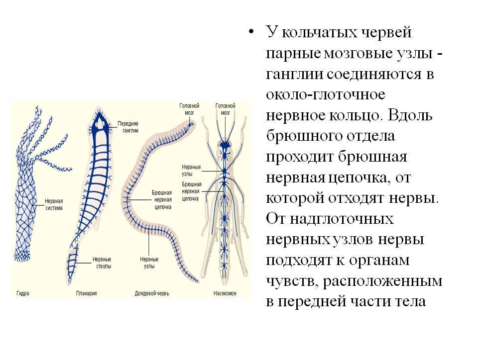 Как пополнить кракен