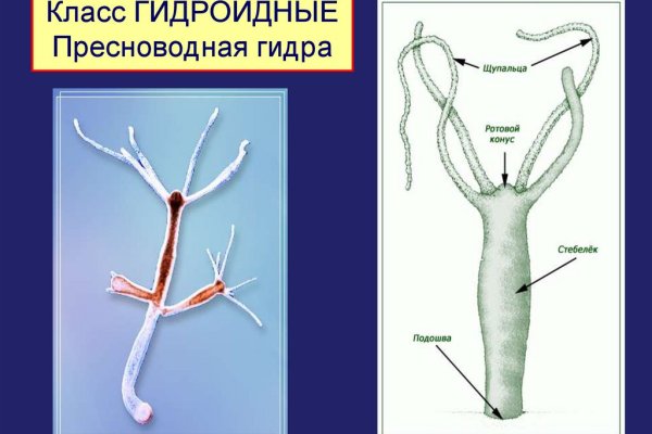 Кракен новый маркетплейс